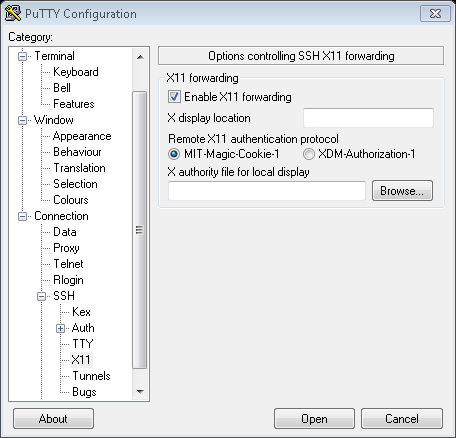 PuttyX11Setting